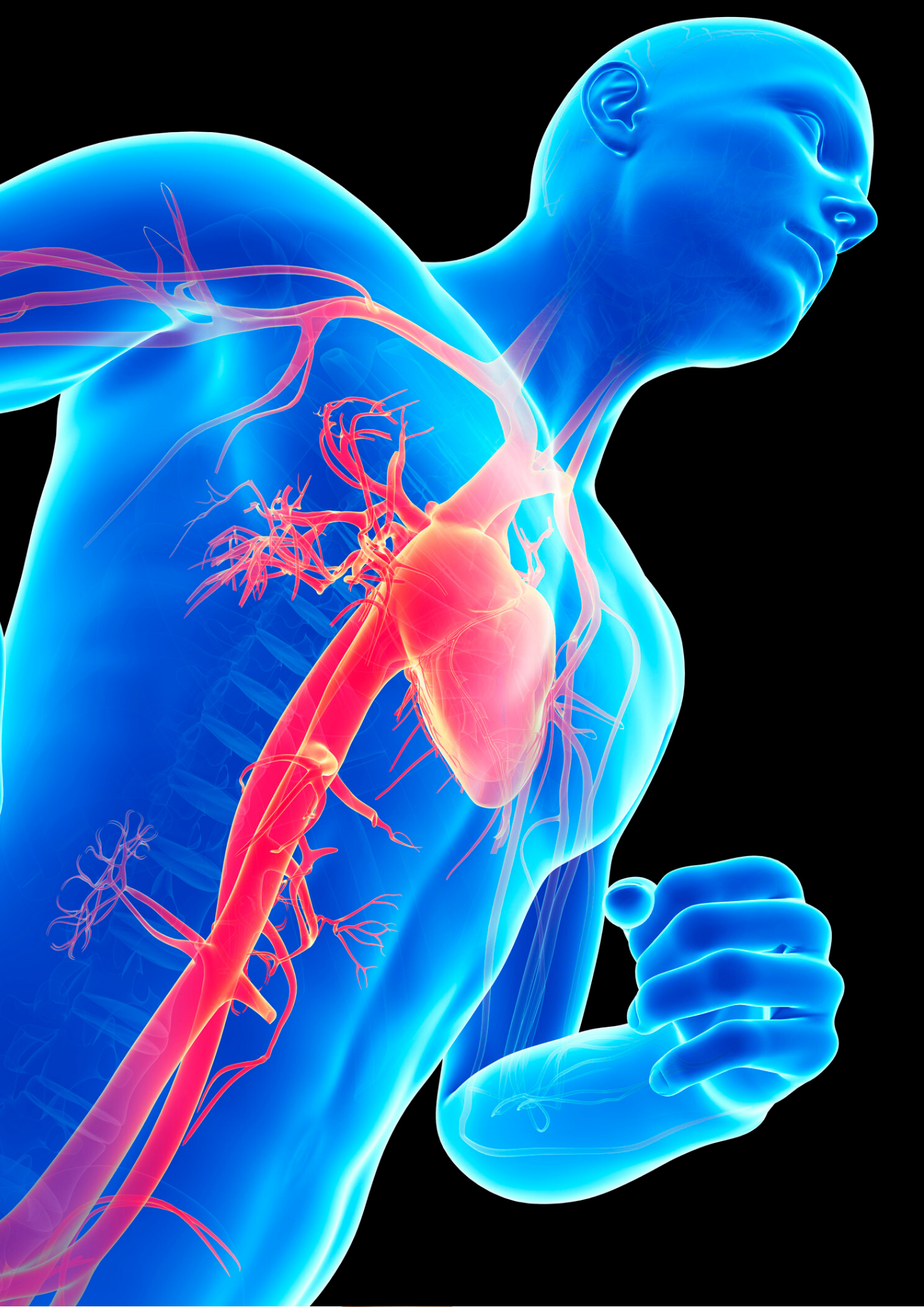 Contact Herzkreis Sport